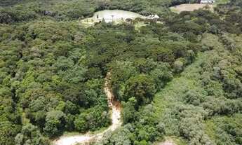 Imagem 5: Chácaras de 2 hectares com muita água