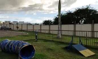 Imagem 4: Alugo Vista dos Angelins climatizado- 2 quartos- 2 vagas- Planalto