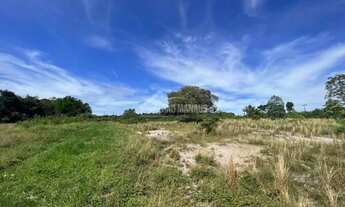 Imagem 3: Galpão Manaus - Terreno - 10.000 m² - AM 010
