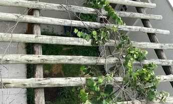Imagem 5: Casa para Venda em Jundiaí, Parque da Represa, 4 dormitórios, 1 suíte, 2 banheiros, 4 vaga
