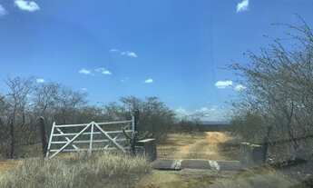 Imagem 4: Fazenda em Acari