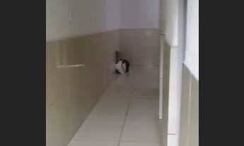 Imagem 3: Kitnet baratinho para casal ,conj muribeca. Whatsapp *01