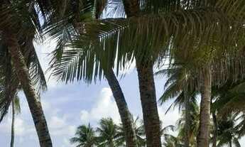 Imagem: APT ALUGO a 100m da praia com Elevad. Com