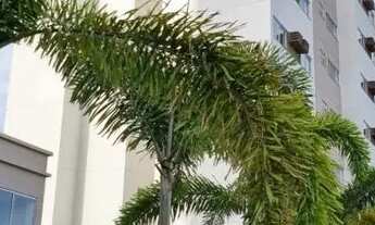 Imagem: Apartamento para aluguel no residencial