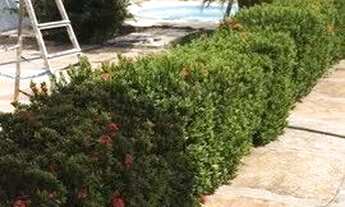 Imagem 2: Vendo casa em Vila Capixaba - Cariacica ES