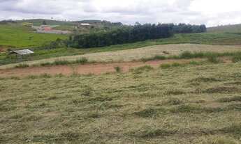 Imagem 5: Terreno 3.000 mt2 Boa Vista em Caçapava