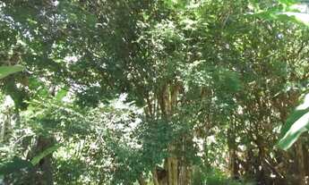 Imagem 2: Fazendinha antiga 15 ha, terra boa, riacho no meio do terreno, Serra do Cipó