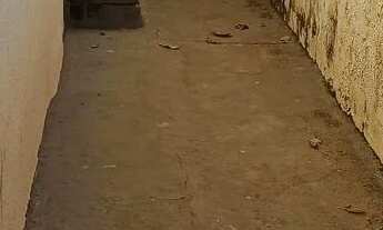 Imagem 3: Aluga-se Barracão próximo ao setor Cruzeiro do Sul