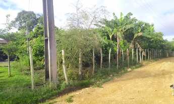 Imagem 6: Vendo um Sítio com Casa Sede