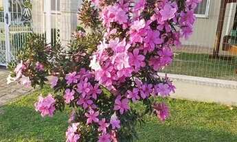 Imagem 5: Casa para venda com 207 metros quadrados com 3 quartos em Pousada da neve - Nova Petrópoli