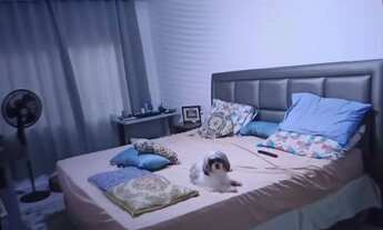 Imagem: Vendo casa de 2 pavimentos NO CENTRO DE