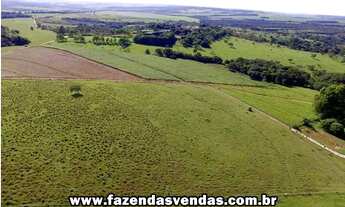 Imagem 3: Fazenda 25,5 alqueires em Corumbá de Goiás próximo a Alexânia GO