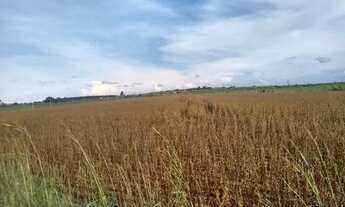 Imagem 6: Chácara DF Planaltina Pipiripau