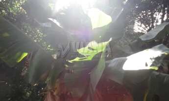 Imagem 3: Terreno em Fundação , São Caetano Do Sul