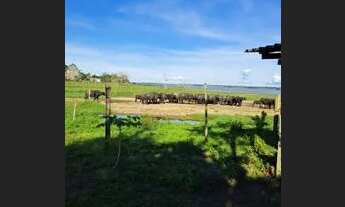 Imagem 7: Fazenda histórica + 100 anos de atividades
