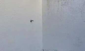 Imagem 3: Aluga -se essa Casa