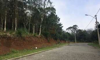 Imagem 7: Terreno no Loteamento Terras Altas em Gramado!