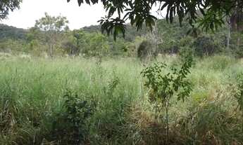 Imagem 6: Chácaras 1.000m² as margens do rio Cipó, com água e luz (Temos varias opções)