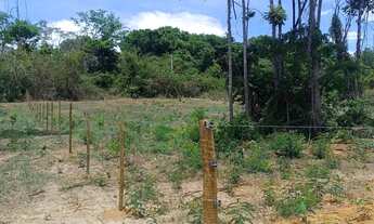 Imagem 2: Chácara Campos dourado