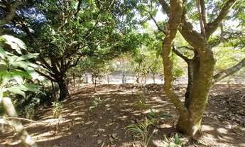 Imagem 4: Terreno 375m² no Chácara Recreio Floresta, por R$ 225.000,00 em Jaguariúna SP