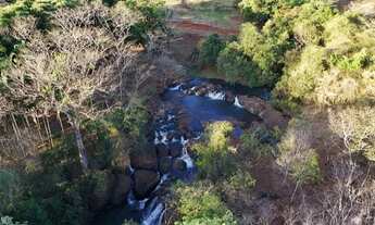 Imagem 6: Fazenda para venda tem 28 Alqueires com 3 quartos na Região do Panamá- GO
