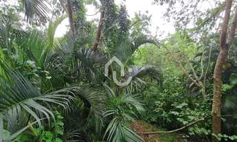 Imagem 5: Recreio dos Bandeirantes