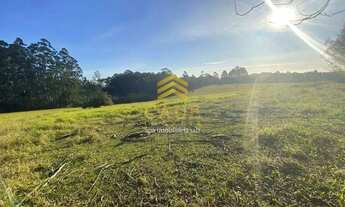 Imagem 7: Imóvel para venda possui 130000 metros quadrados com 3 quartos em Águas Claras - Viamão