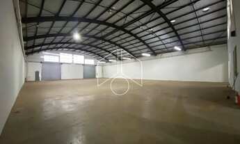 Imagem 2: Comercial GalpãoBarracão em Marília