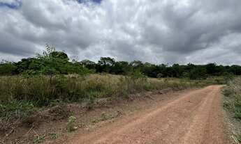 Imagem 7: Chácara de 6.000 m² em Caldazinha - Perto do Asfalto!