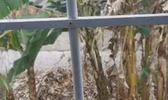 Imagem 7: Casa em Antonina-PR