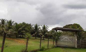 Imagem 4: Imóvel para venda possui 200000 metros quadrados com 2 quartos em b - Presidente Figueired