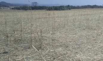 Imagem 4: Terra à Venda em Silvânia/GO - 75 hectares