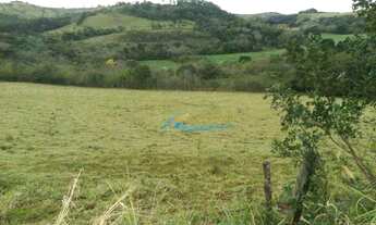 Imagem 15: Sítio à venda, 242000 m² por R$ 1.100.000,00 - Rural - Guaraniaçu/PR