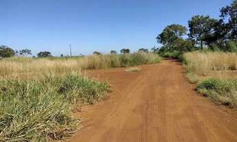 Imagem 3: Sítio à venda, zona rural, Morrinhos, GO