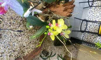 Imagem 6: Kitnet mobiliada próximo ao hospital Santa Casa