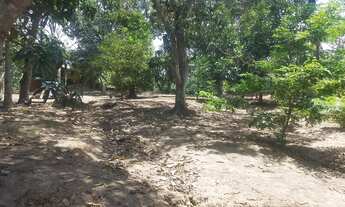 Imagem 4: Sítio Chácara com venda por R$600.000