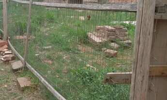 Imagem 2: Vendo terreno prd 107 de gravatai