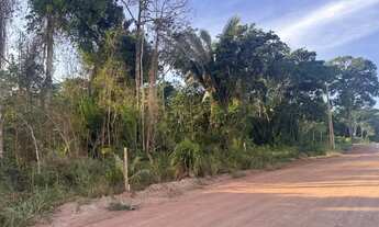 Imagem 2: Vendo 2 lotes no Planalto são José Br 163 R$ 80 mil