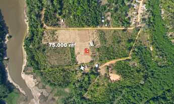 Imagem 2: Terreno com 75.000 m² em Iramdunda / Terreno com 75.000 m² há 3km da Cidade de Iranduba/AM