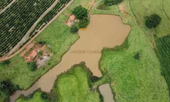 Imagem 7: CAFÉ PRODUÇÃO E QUALIDADE