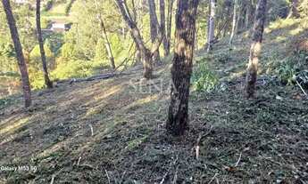 Imagem 7: Terreno / Venda Terreno / lote com venda por R$350.000