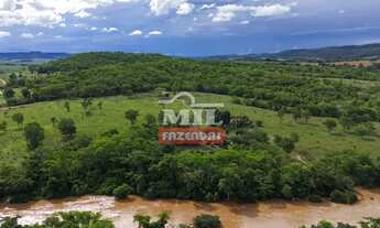 Imagem 7: Fazenda 22 alqueires (106,20 hectares) Aloândia - Go