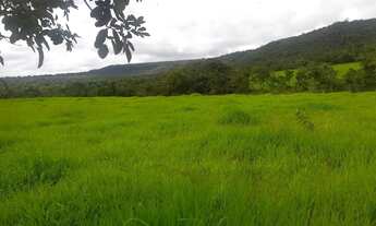 Imagem: Fazenda chácara granja confinamento Planaltina