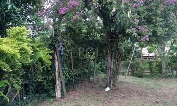 Imagem 4: Casa em Belém Novo