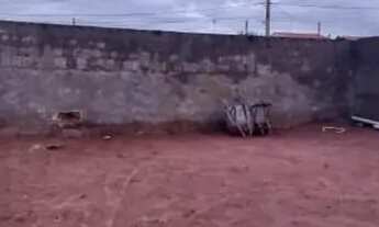 Imagem 2: Alugo casa em Cedral