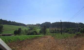 Imagem: Propriedade Rural em Palmitos