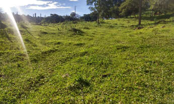 Imagem 6: Fazenda 8 ha, próximo ao café da Estrada, Entre Mateus Leme e Itaúna, com agua