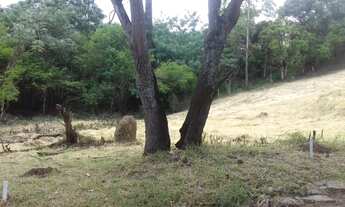 Imagem 6: Oportunidade Terreno com 210m² - Pq. Nova Esperança / Novo Horizonte (Valor imperdível