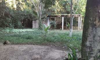 Imagem 2: Sitio Chácara com venda por R$190.000