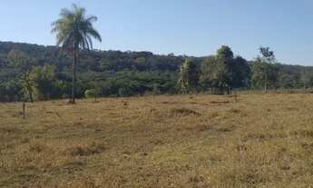 Imagem 4: Excelente Chácara de 10 Hectares na Taquara em Planaltina DF